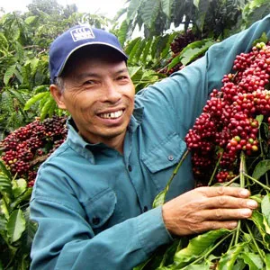 Nguyễn Văn Hùng