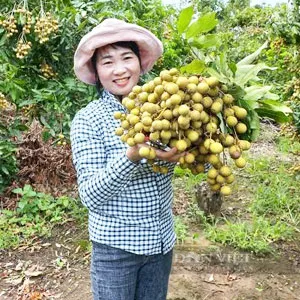 Lê Thị Mai