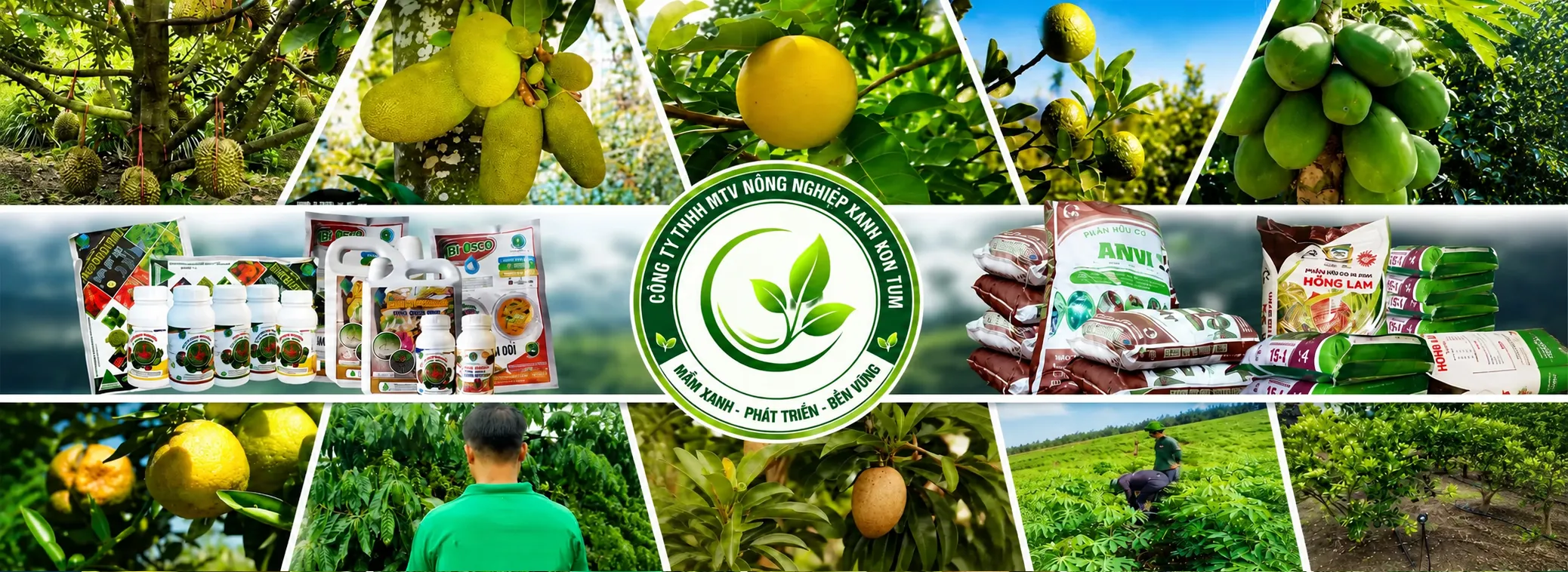 10 năm - Hành trình kiến tạo giá trị xanh